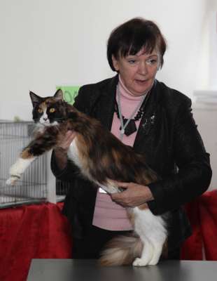 �������� ����� '������� ���-�����' 30 ������-1 ������� 2013., WCF-����� 2631